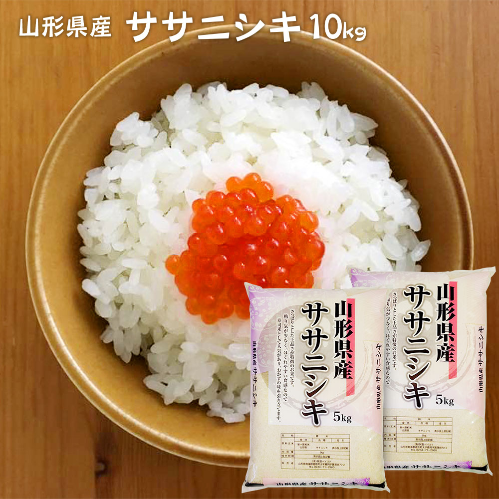 ササニシキ 10kg 山形県産 令和7年産