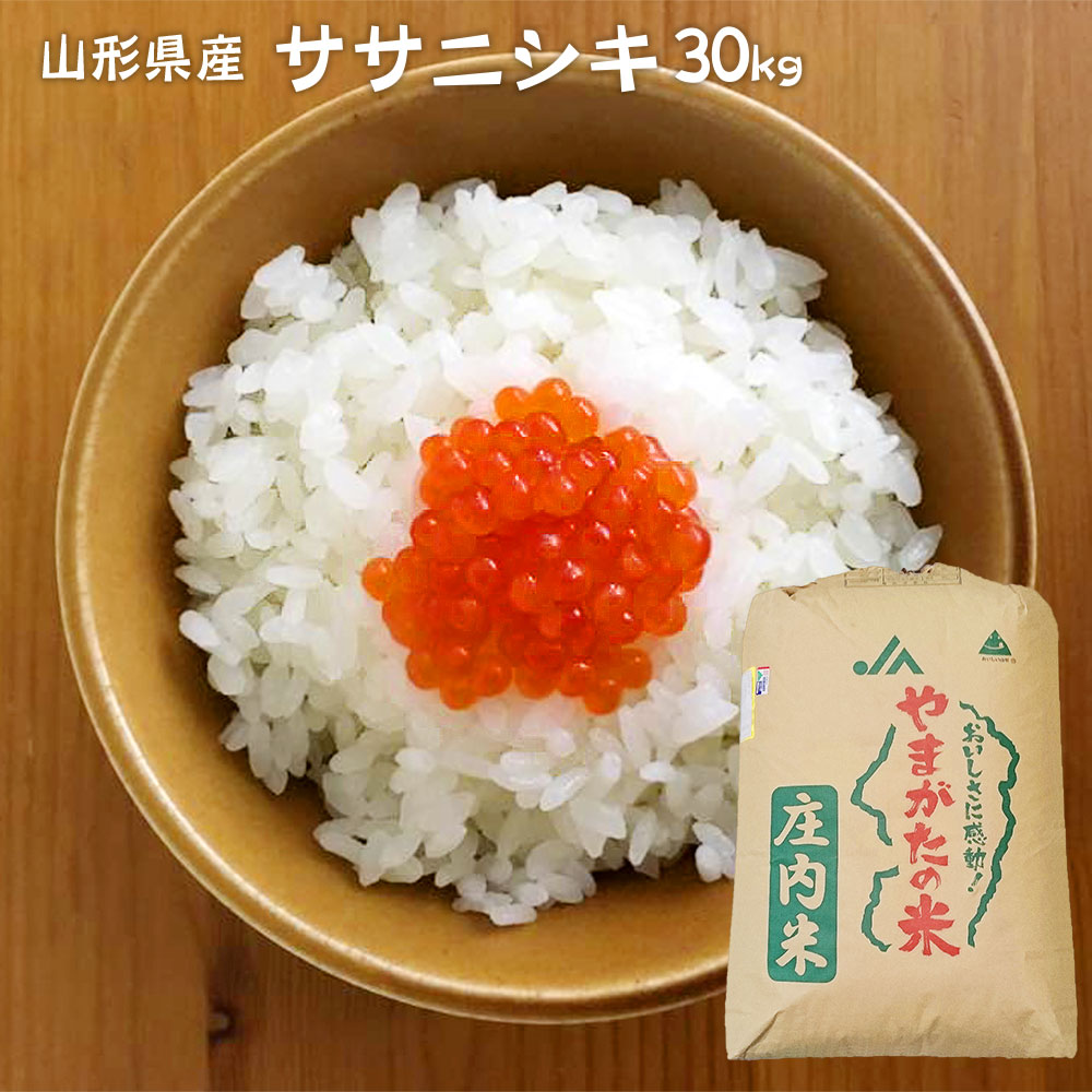ササニシキ 30kg (精米後約27kg) 山形県産 令和6年産