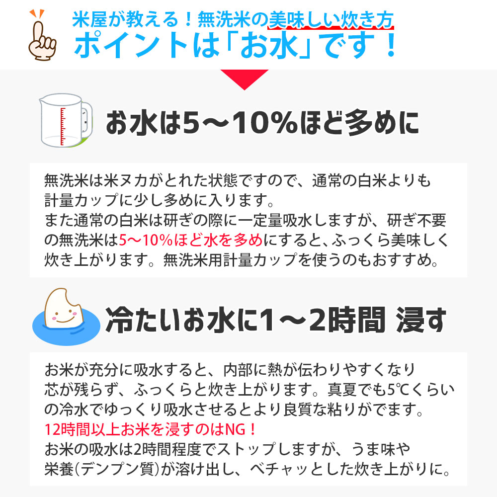 無洗米こつぶ姫 10kg (5kg×2袋) 国内産