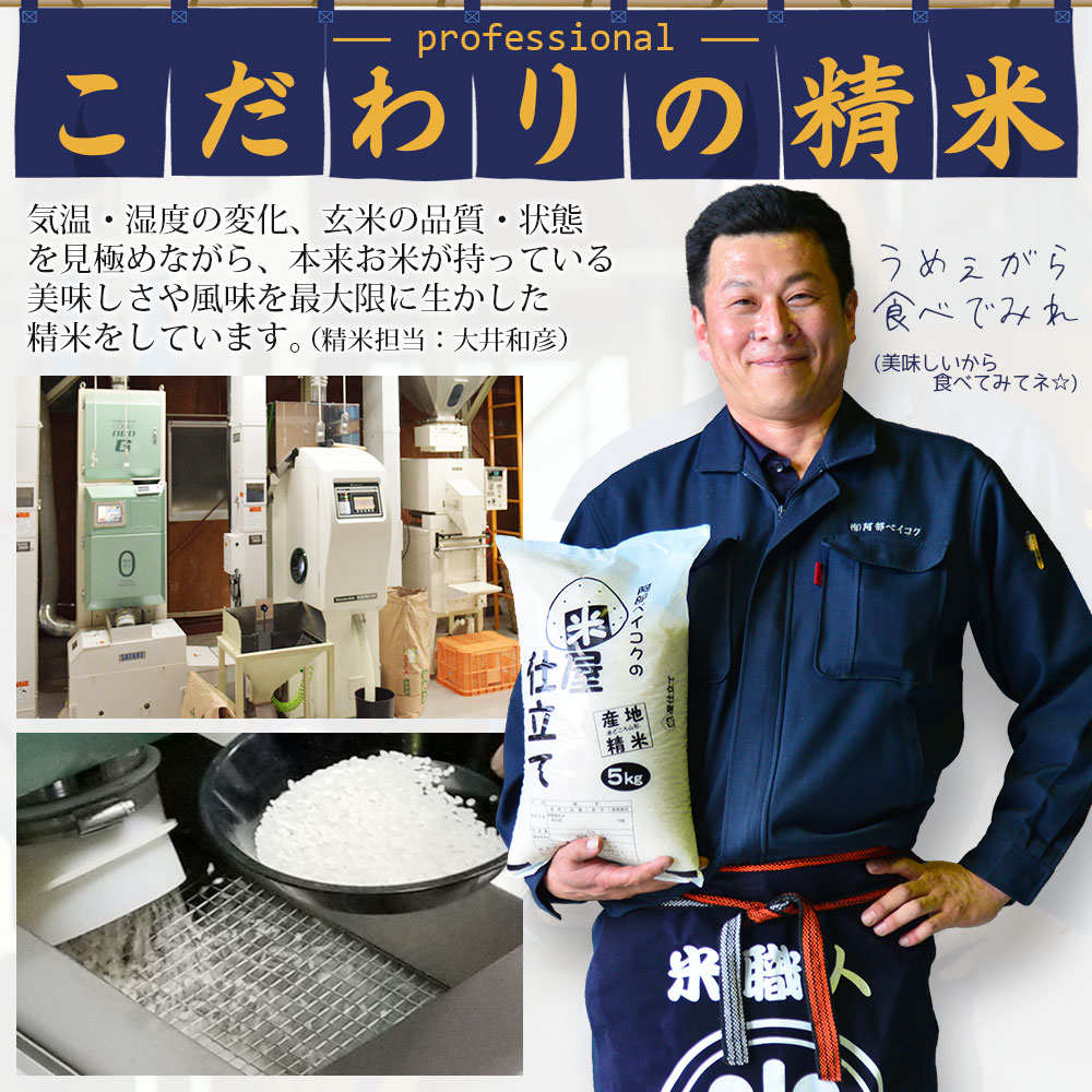 無洗米こつぶ姫 10kg (5kg×2袋) 国内産