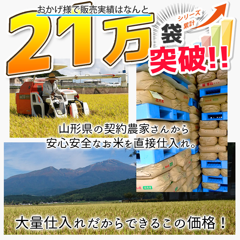 無洗米こつぶ姫 10kg (5kg×2袋) 国内産