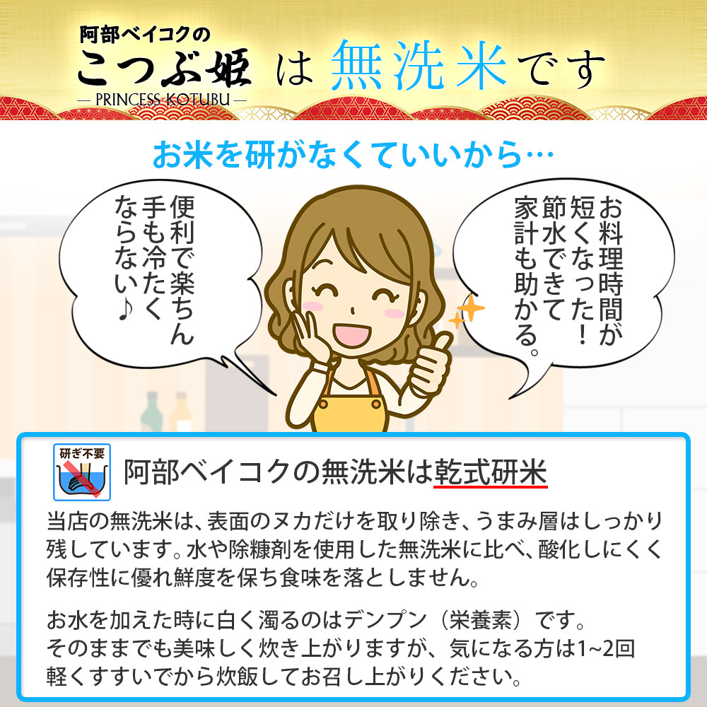 無洗米こつぶ姫 10kg (5kg×2袋) 国内産