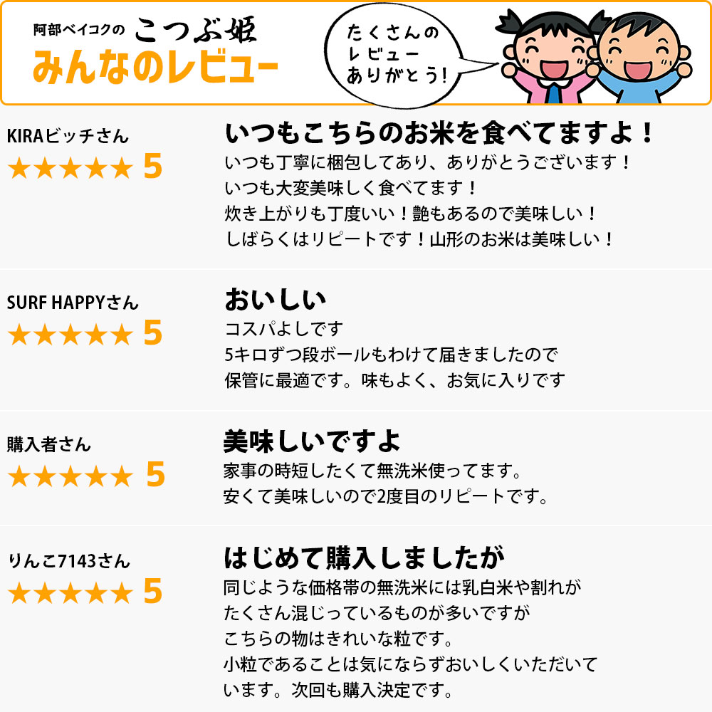 無洗米こつぶ姫 10kg (5kg×2袋) 国内産