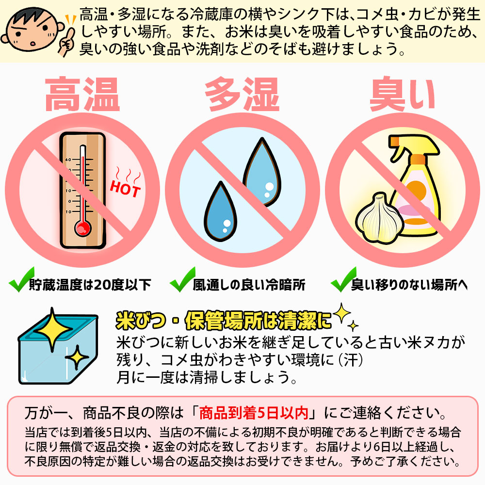 無洗米こつぶ姫 10kg (5kg×2袋) 国内産