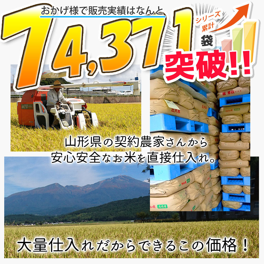 無洗米こつぶ姫 20kg (5kg×4袋) 国内産