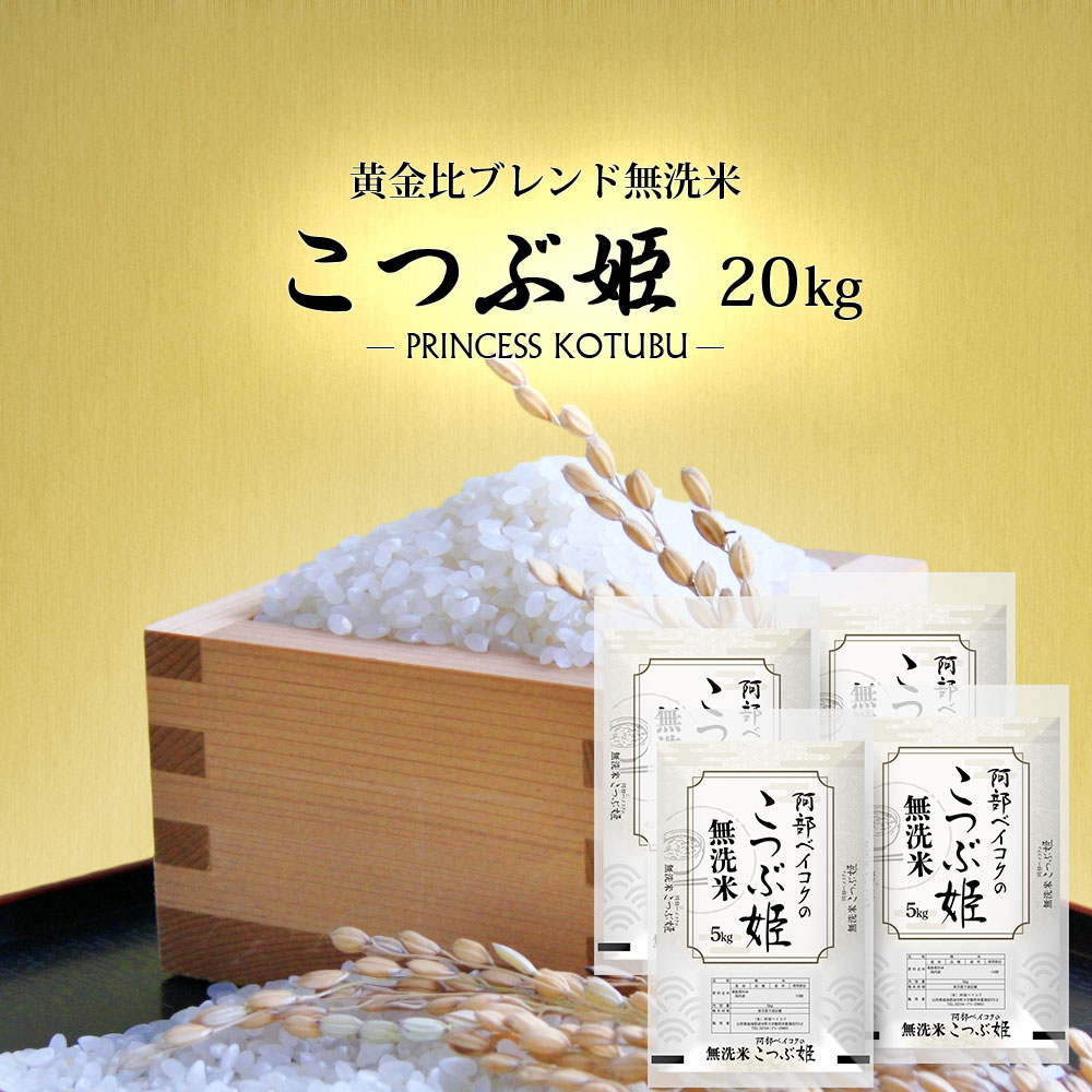 無洗米こつぶ姫 20kg (5kg×4袋) 国内産