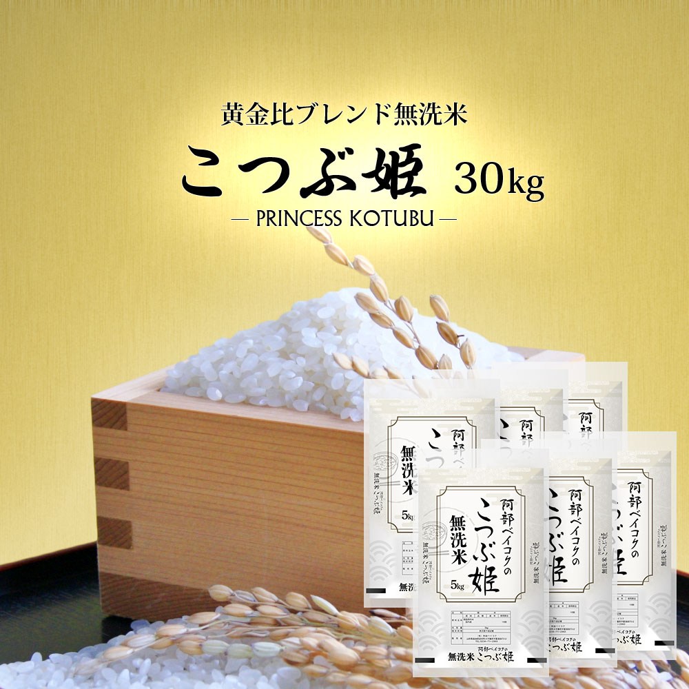 無洗米こつぶ姫 30kg (5kg×6袋) 国内産