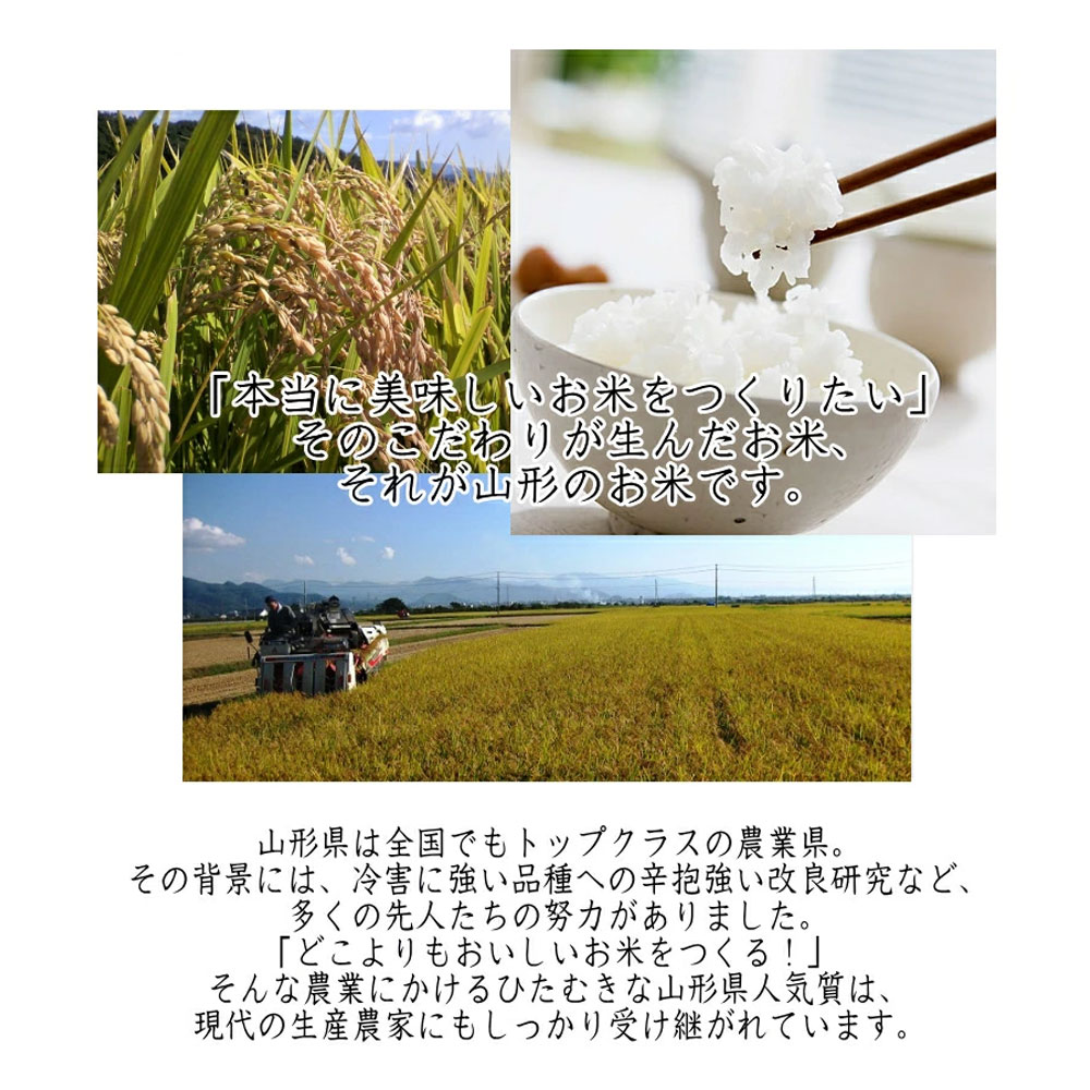 米屋仕立て 20kg (5kg×4袋) 国内産