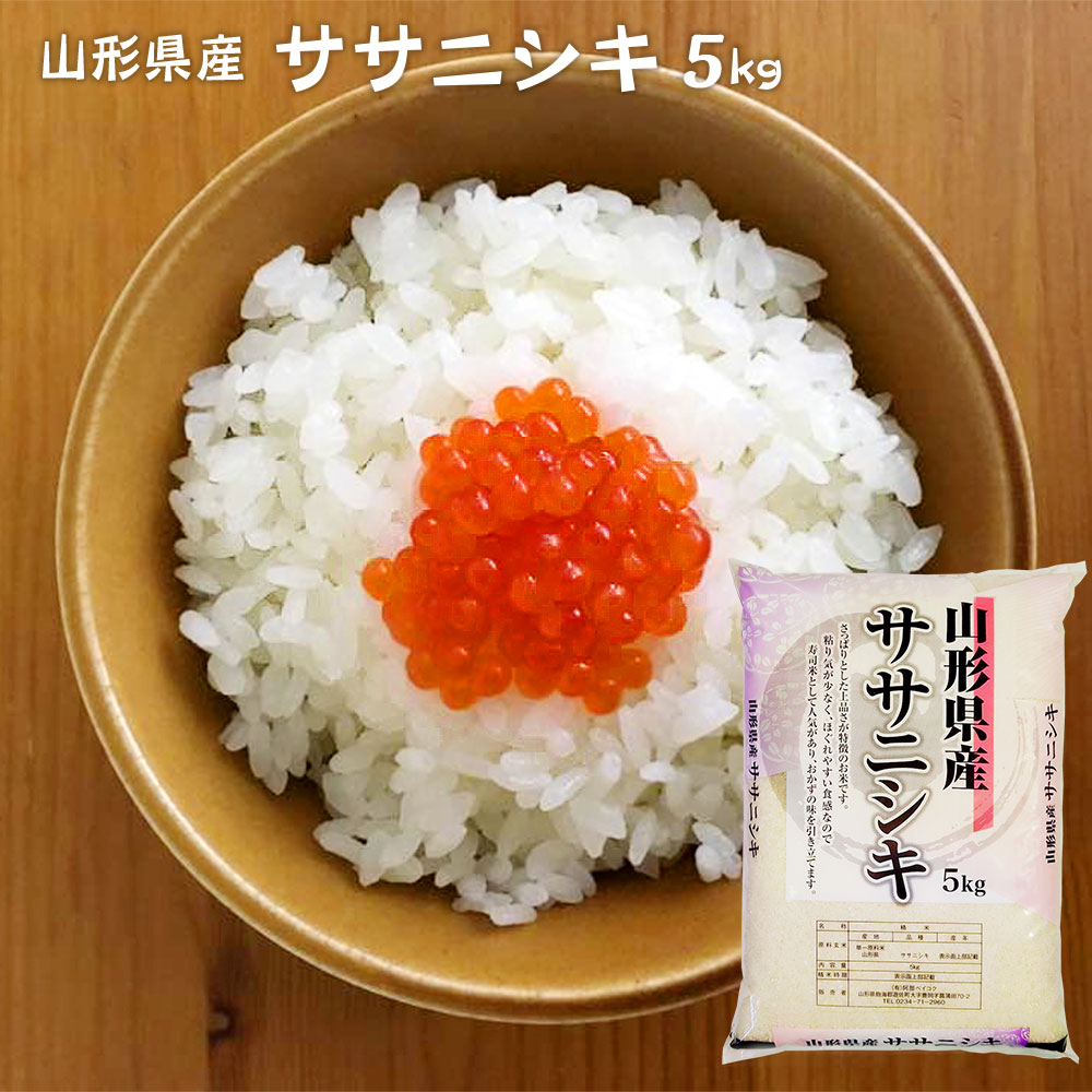 ササニシキ 5kg 山形県産 令和7年産