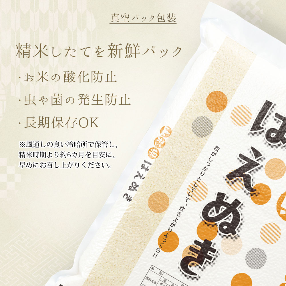はえぬき 真空パック 10kg 山形県産 令和7年産