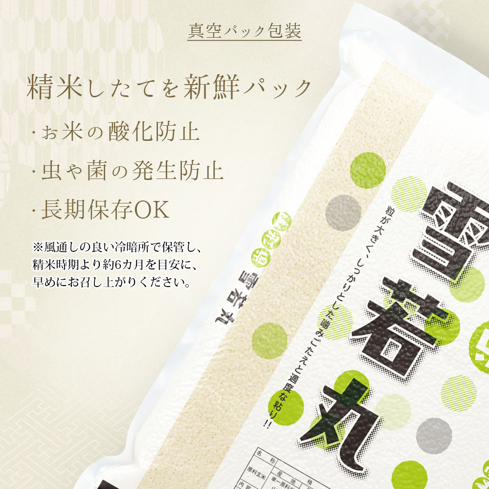 雪若丸 真空パック 5kg 山形県産 令和7年産