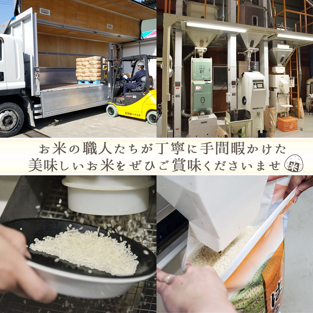 ゆめぴりか 真空パック 10kg 北海道産 令和7年産