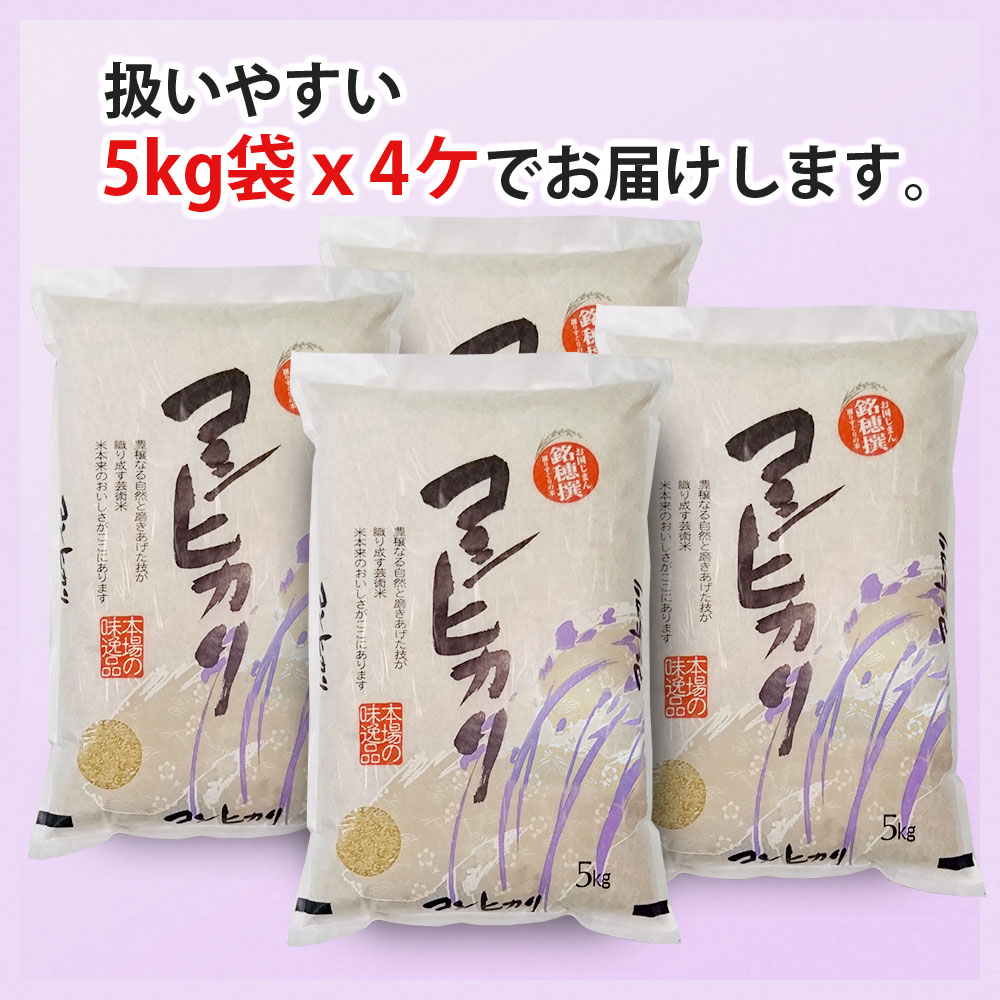 コシヒカリ 20kg (5kg×4袋) 山形県産 令和7年産