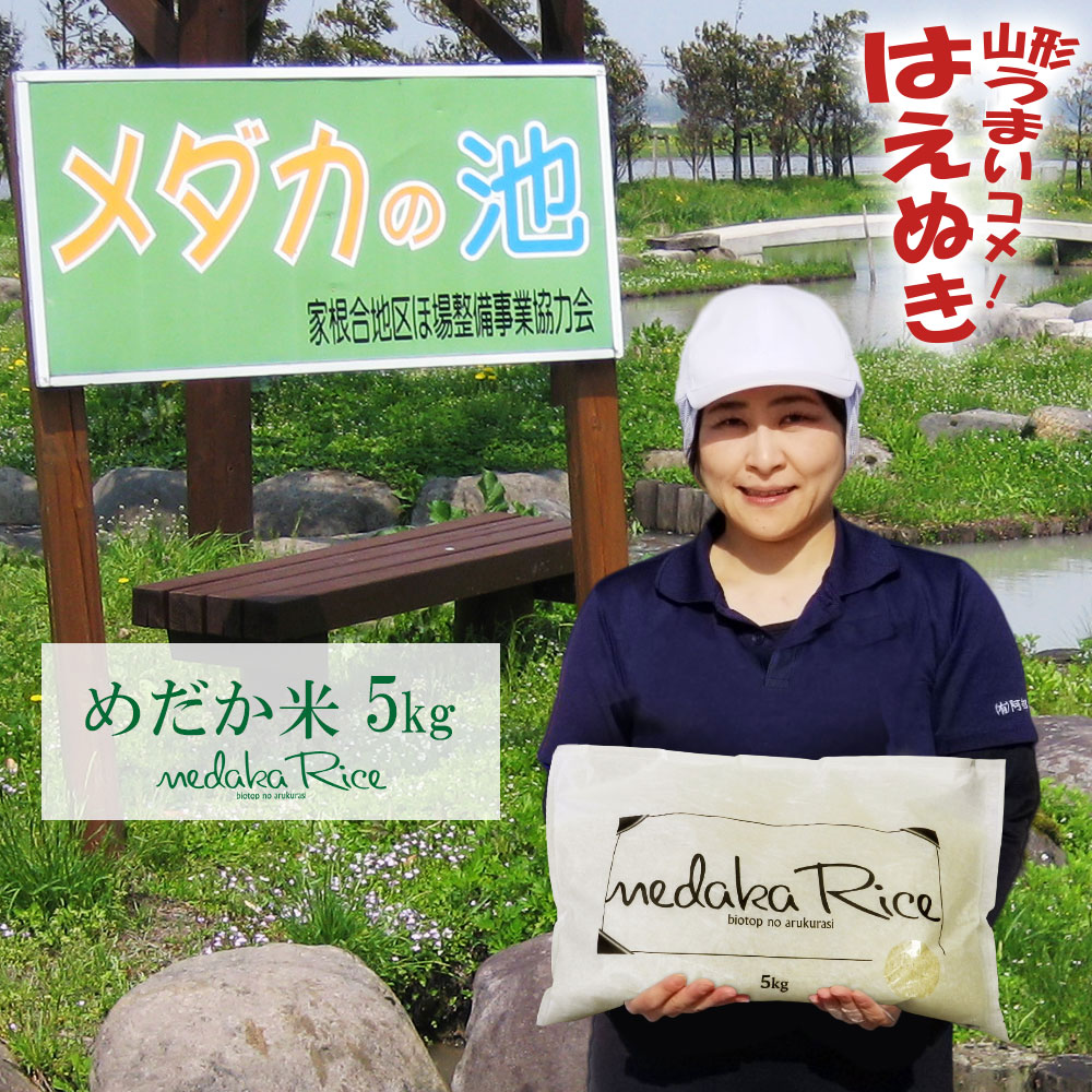 めだか米 5kg 山形県産 はえぬき 令和7年産