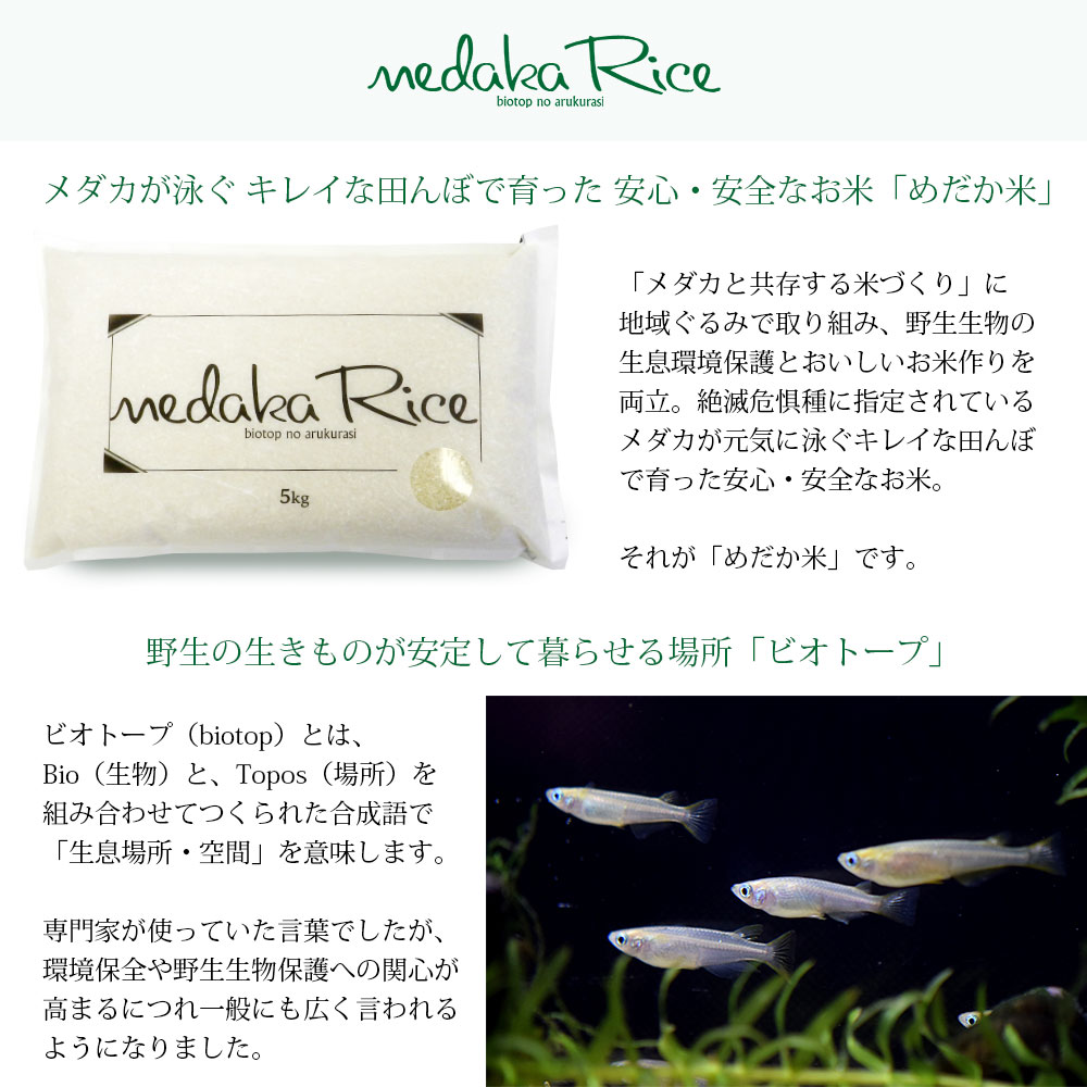めだか米 10kg (5kg×2袋) 山形県産 はえぬき 令和7年産