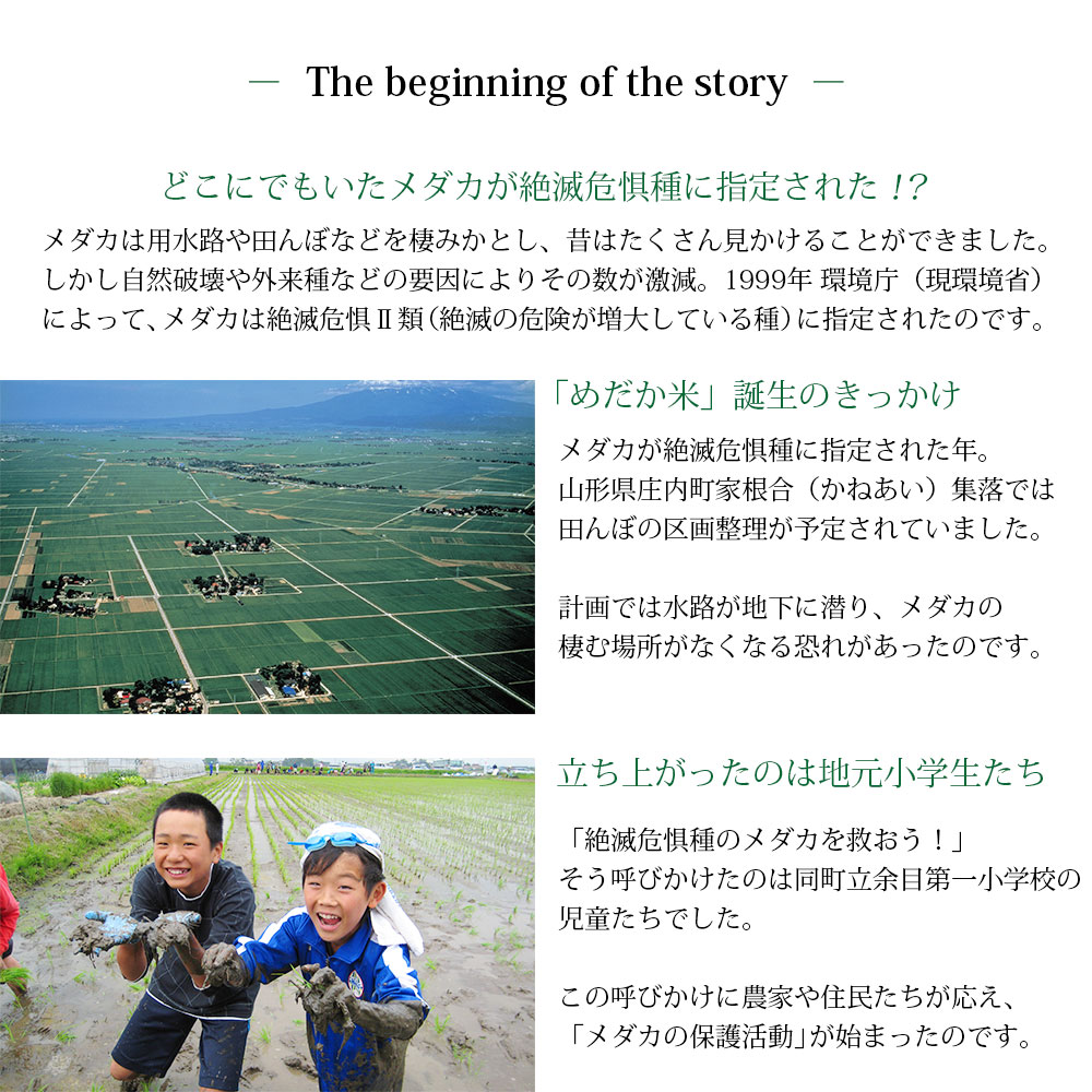 めだか米 10kg (5kg×2袋) 山形県産 はえぬき 令和7年産