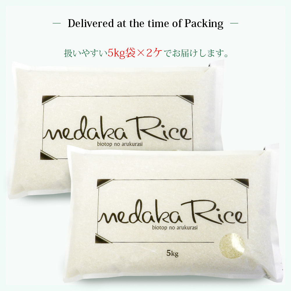 めだか米 10kg (5kg×2袋) 山形県産 はえぬき 令和7年産