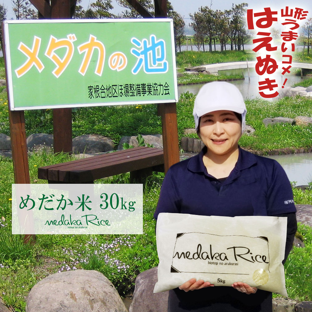 めだか米 30kg (5kg×6袋) 山形県産 はえぬき 令和7年産