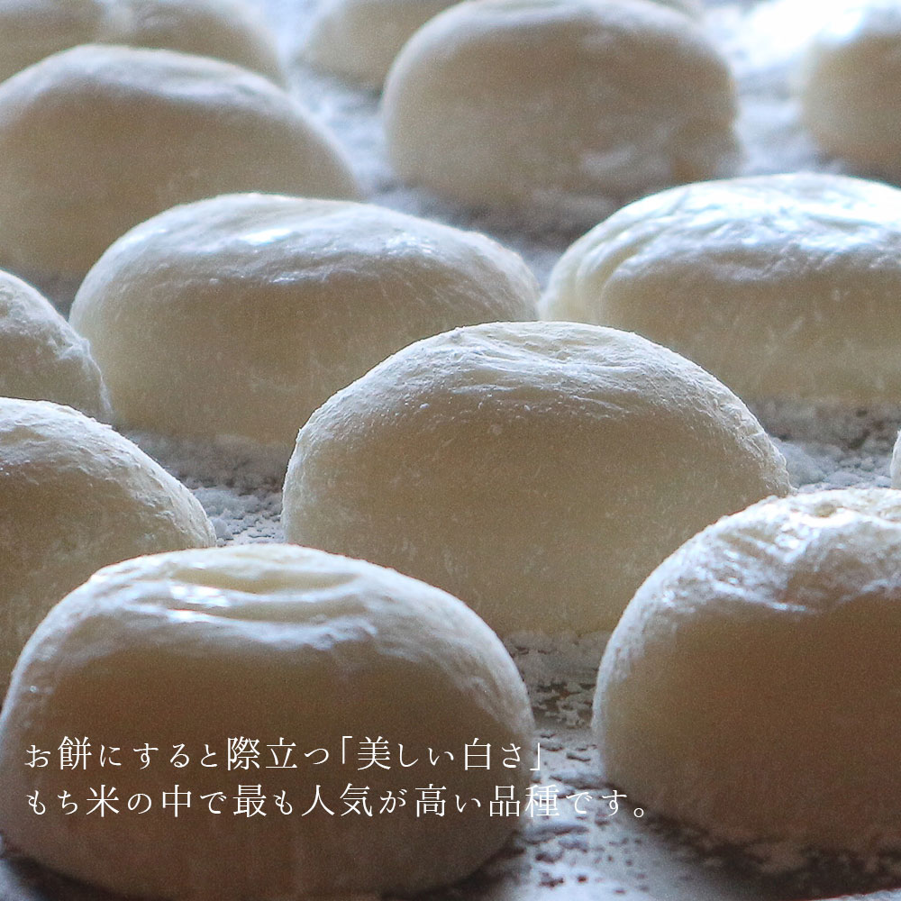 令和7年産 ヒメノモチ 30kg (5kg×6袋) 送料無料 山形県産 もち米 餅米 国内産