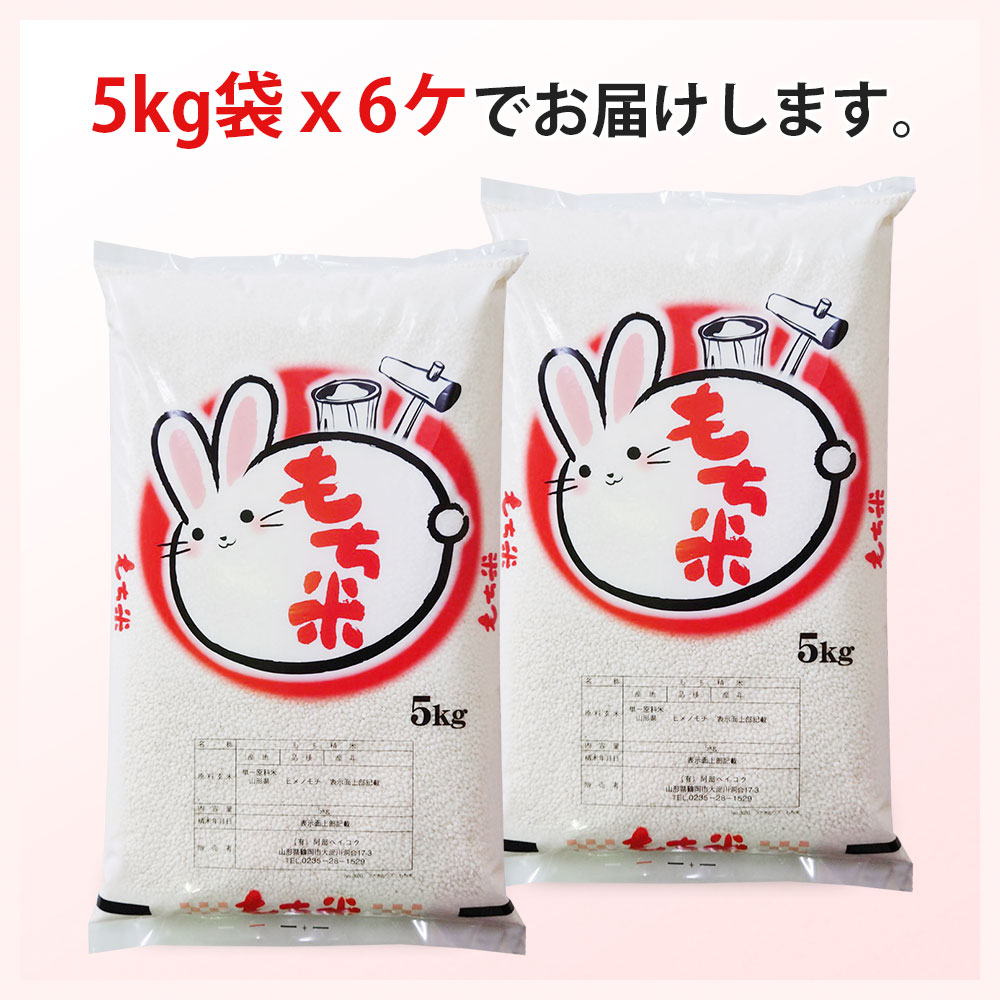令和7年産 ヒメノモチ 30kg (5kg×6袋) 送料無料 山形県産 もち米 餅米 国内産