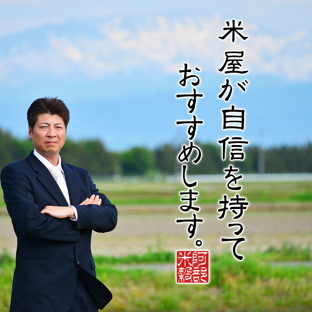 令和6年産 でわのもち 20kg (5kg×4) 送料無料 山形県産 もち米 餅米 国内産