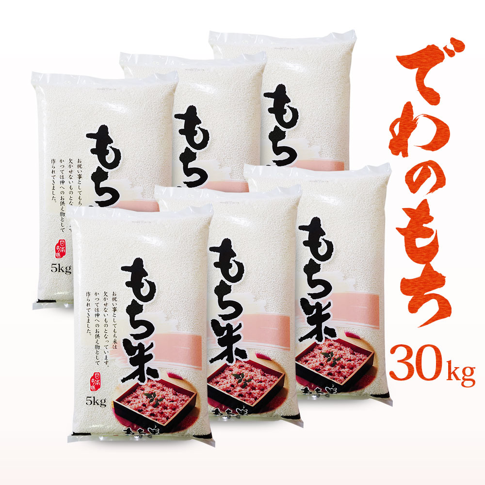 令和6年産 でわのもち 30kg (5kg×6) 送料無料 山形県産 もち米 餅米 国内産