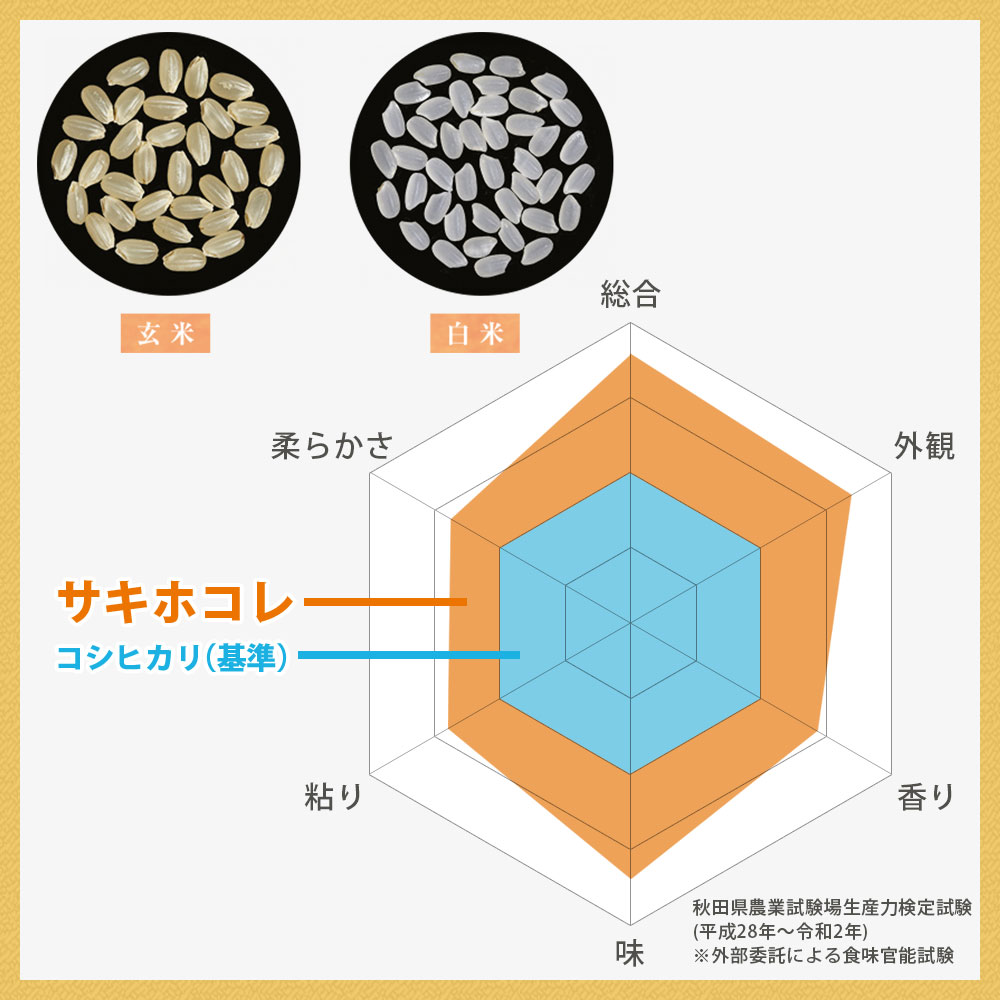サキホコレ 10kg 秋田県産 令和6年産