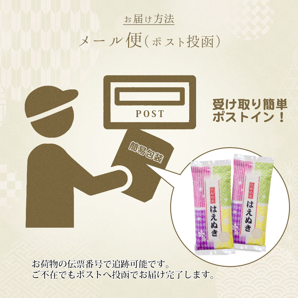はえぬき 真空パック 600g (4合) 山形県産 令和7年産 (300グラム×2袋)