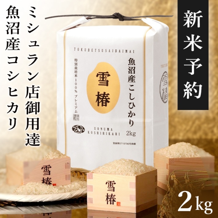 リキちゃん　超お得!!訳☆限定品☆令和元年産コシヒカリ精米して25Kです。 リキちゃん 超お得!!訳☆限定品☆令和元年産コシヒカリ
