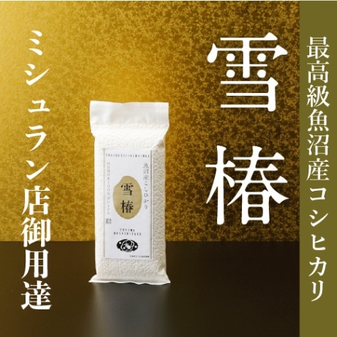 令和7年産 最高級魚沼産コシヒカリ「雪椿」2合300g