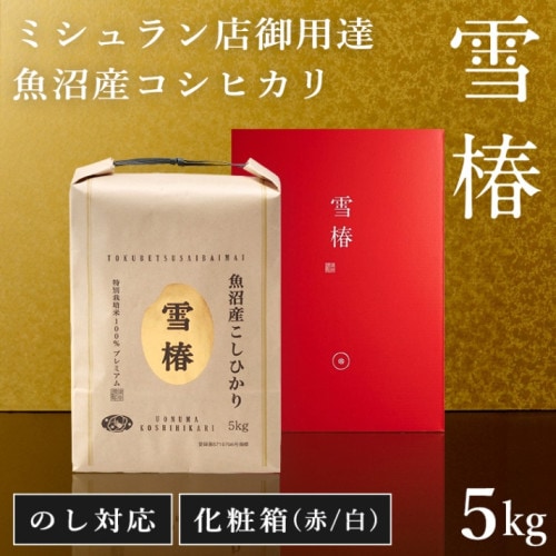 新山光哉　大鉢　雪椿　箱入り 新山光哉 大鉢 雪椿 箱入り Amazon.co.jp: 新山光哉 大鉢 雪椿 箱入り