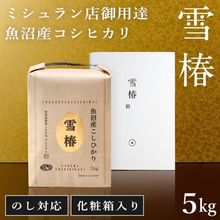 令和7年産 最高級魚沼産コシヒカリ「雪椿」5kg 化粧箱入り（白地）