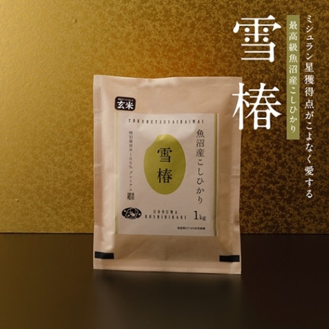 令和7年産 最高級魚沼産コシヒカリ「雪椿」1kg 玄米