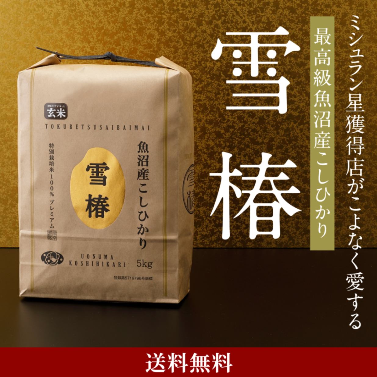 令和7年産 最高級魚沼産コシヒカリ「雪椿」 5kg 玄米