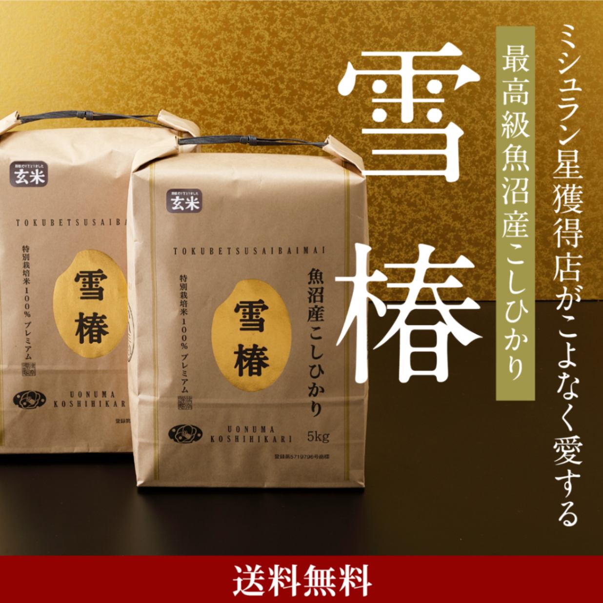 令和7年産 最高級魚沼産コシヒカリ「雪椿」10kg（5kg×2袋） 玄米