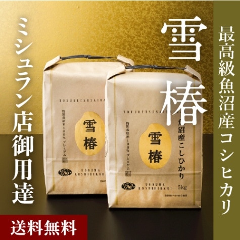 令和7年産 最高級魚沼産コシヒカリ「雪椿」10kg（5kg×2袋）