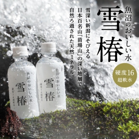 魚沼のおいしい水「雪椿」 290ｍｌ×80本入り