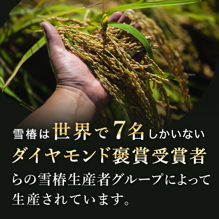 【特別価格】令和7年産 最高級魚沼産コシヒカリ「雪椿」20kg（5kg×4袋）