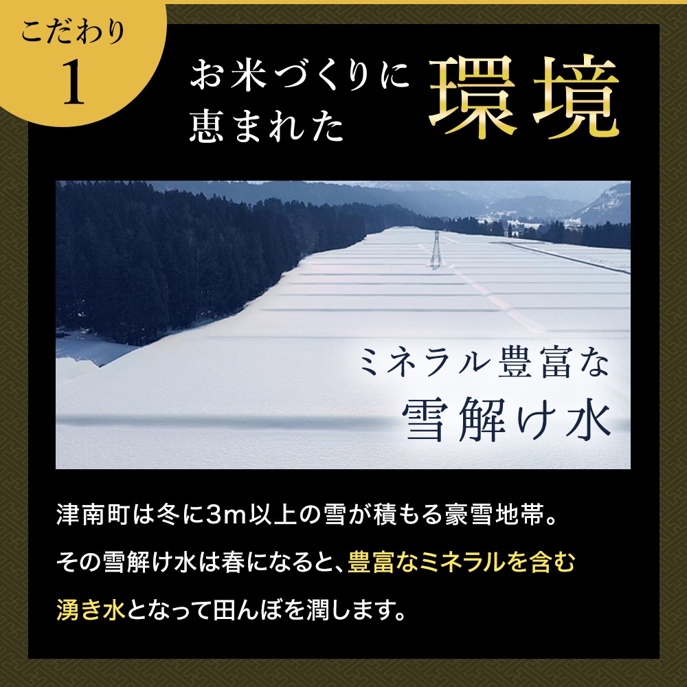 【特別価格】令和7年産 最高級魚沼産コシヒカリ「雪椿」30kg（5kg×6袋）