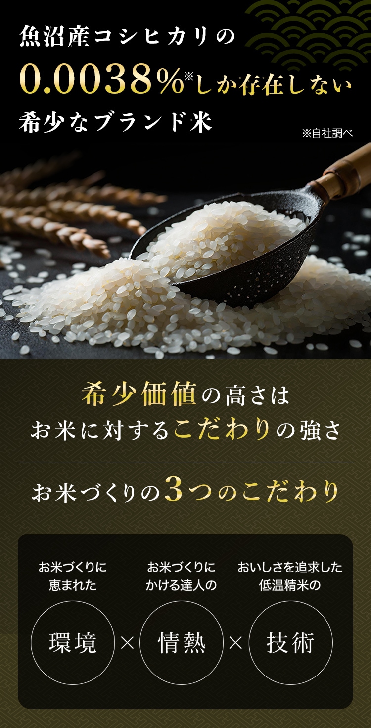 令和7年産 最高級魚沼産コシヒカリ「雪椿」2合300g