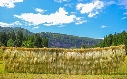 令和7年産 最高級魚沼産コシヒカリ「雪椿」2合300g