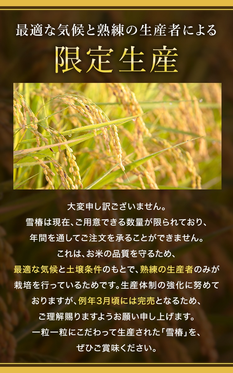 令和7年産 最高級魚沼産コシヒカリ「雪椿」2kg×2袋 木箱入り