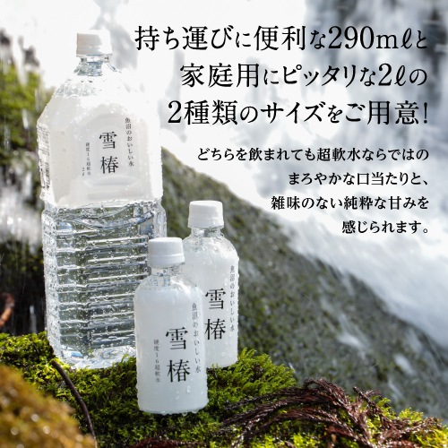 魚沼のおいしい水「雪椿」 290ｍｌ×40本入り
