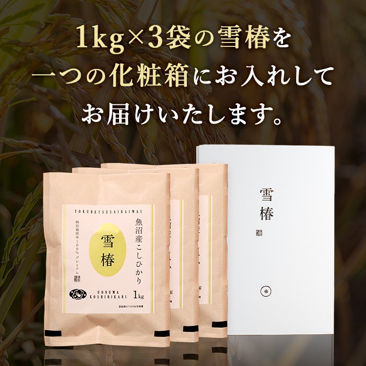 令和7年産 最高級魚沼産コシヒカリ「雪椿」1kg×3袋 化粧箱入り （白地）