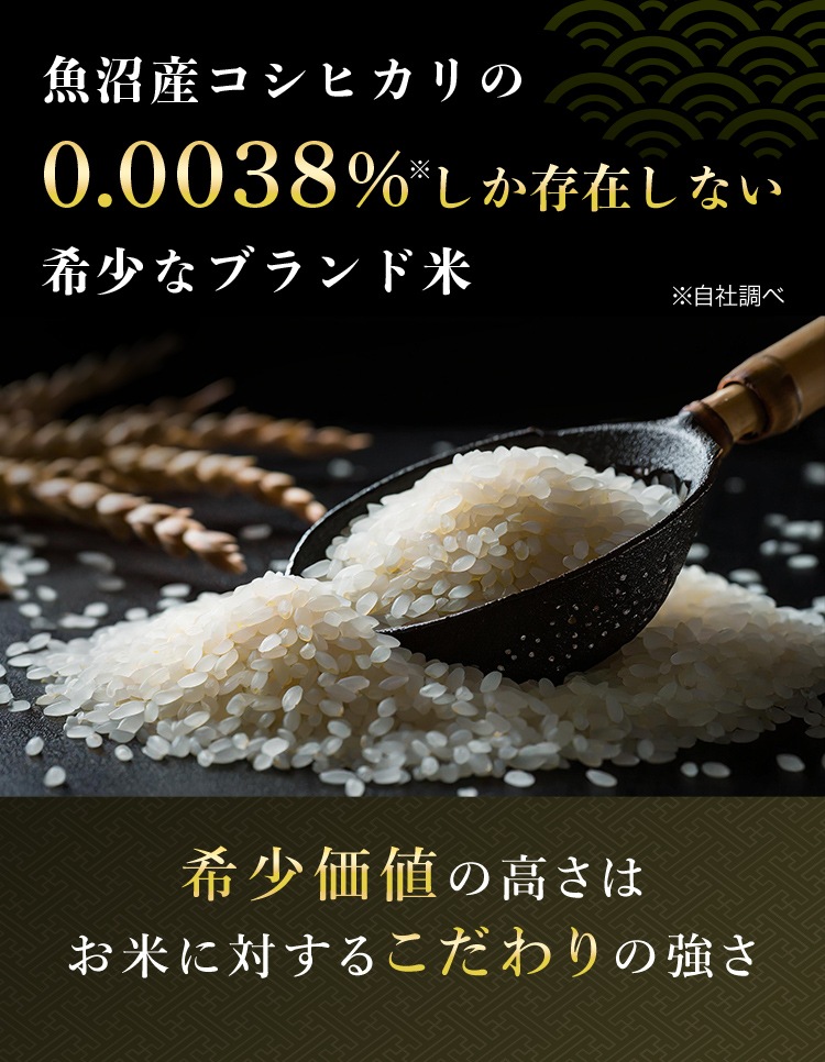 令和7年産 最高級魚沼産コシヒカリ「雪椿」1kg 玄米