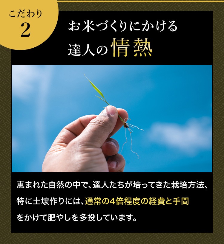 【特別価格】令和7年産 最高級魚沼産コシヒカリ「雪椿」20kg 玄米
