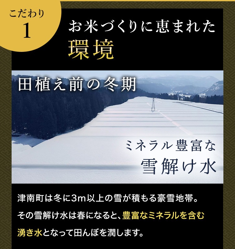 【特別価格】令和7年産 最高級魚沼産コシヒカリ「雪椿」30kg 玄米