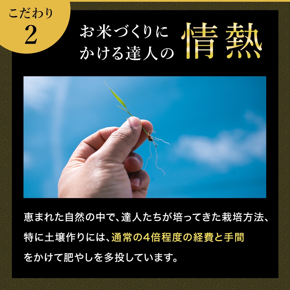 【母の日ギフトセット】 魚沼産コシヒカリ雪椿2kg
