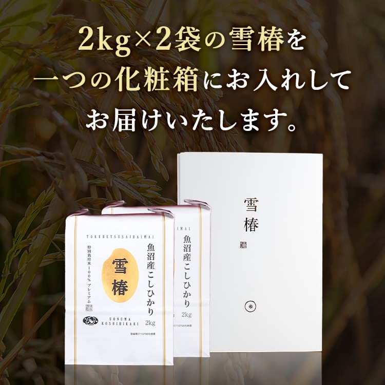 【化粧箱入り（白地） 風呂敷包み】令和7年産 最高級魚沼産コシヒカリ「雪椿」2kg×2袋