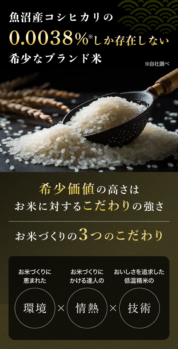 【化粧箱入り（白地） 風呂敷包み】令和7年産 最高級魚沼産コシヒカリ「雪椿」2kg×2袋